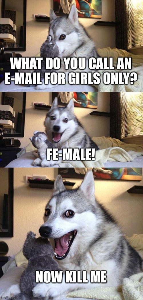 Joke before sacrificing boys. |  WHAT DO YOU CALL AN E-MAIL FOR GIRLS ONLY? FE-MALE! NOW KILL ME | image tagged in memes,bad pun dog | made w/ Imgflip meme maker