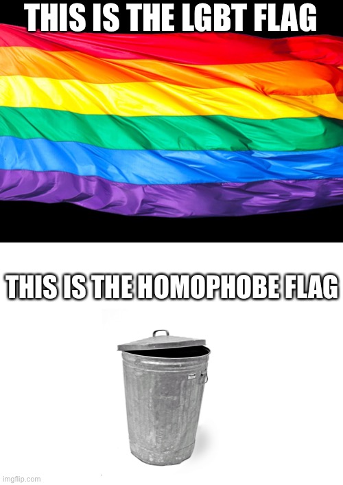 Gay Flag | THIS IS THE LGBT FLAG; THIS IS THE HOMOPHOBE FLAG | image tagged in gay flag | made w/ Imgflip meme maker