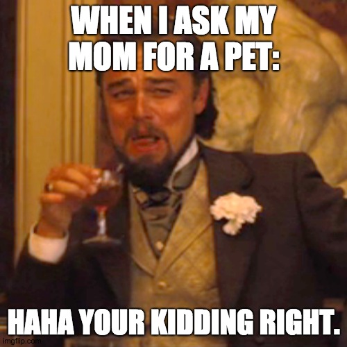 Laughing Leo | WHEN I ASK MY MOM FOR A PET:; HAHA YOUR KIDDING RIGHT. | image tagged in memes,laughing leo | made w/ Imgflip meme maker