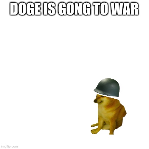 Blank Transparent Square Meme | DOGE IS GONG TO WAR | image tagged in memes,blank transparent square | made w/ Imgflip meme maker