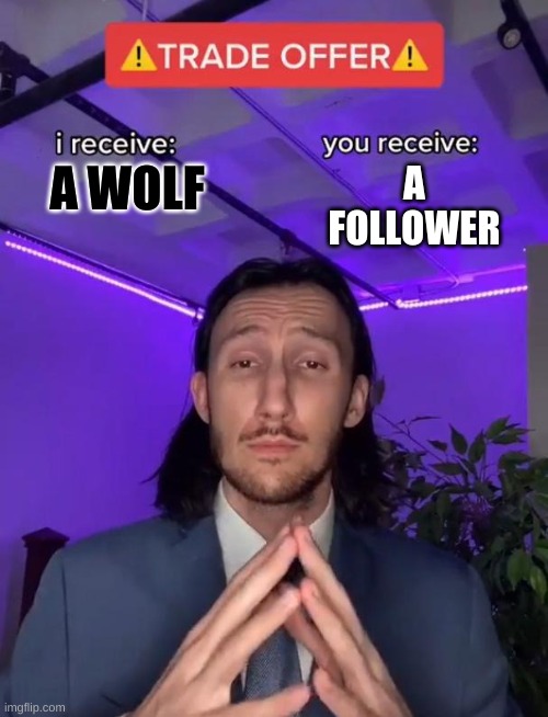 Trade Offer | A WOLF A FOLLOWER | image tagged in trade offer | made w/ Imgflip meme maker