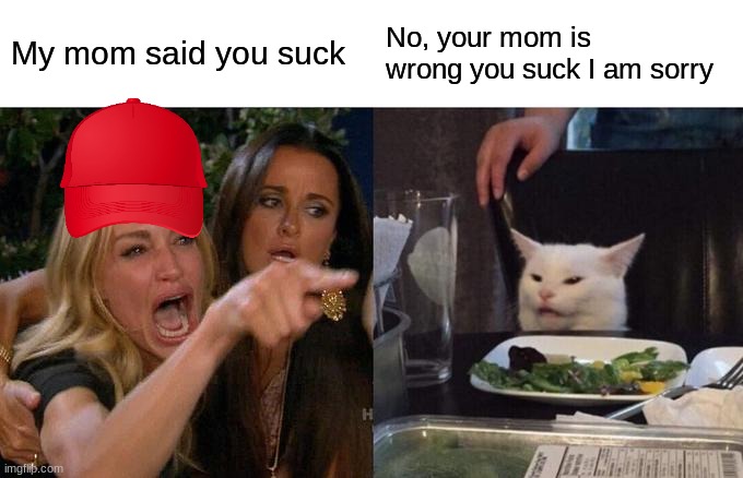 Woman Yelling At Cat | My mom said you suck; No, your mom is wrong you suck I am sorry | image tagged in memes,woman yelling at cat | made w/ Imgflip meme maker