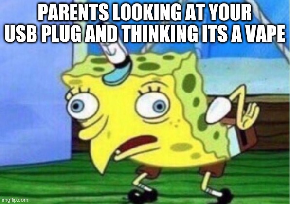 am i right? | PARENTS LOOKING AT YOUR USB PLUG AND THINKING ITS A VAPE | image tagged in memes,mocking spongebob | made w/ Imgflip meme maker