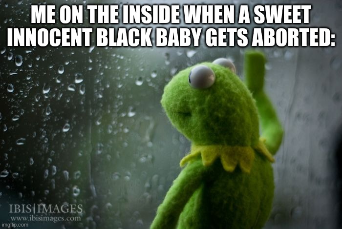 kermit window | ME ON THE INSIDE WHEN A SWEET INNOCENT BLACK BABY GETS ABORTED: | image tagged in kermit window | made w/ Imgflip meme maker