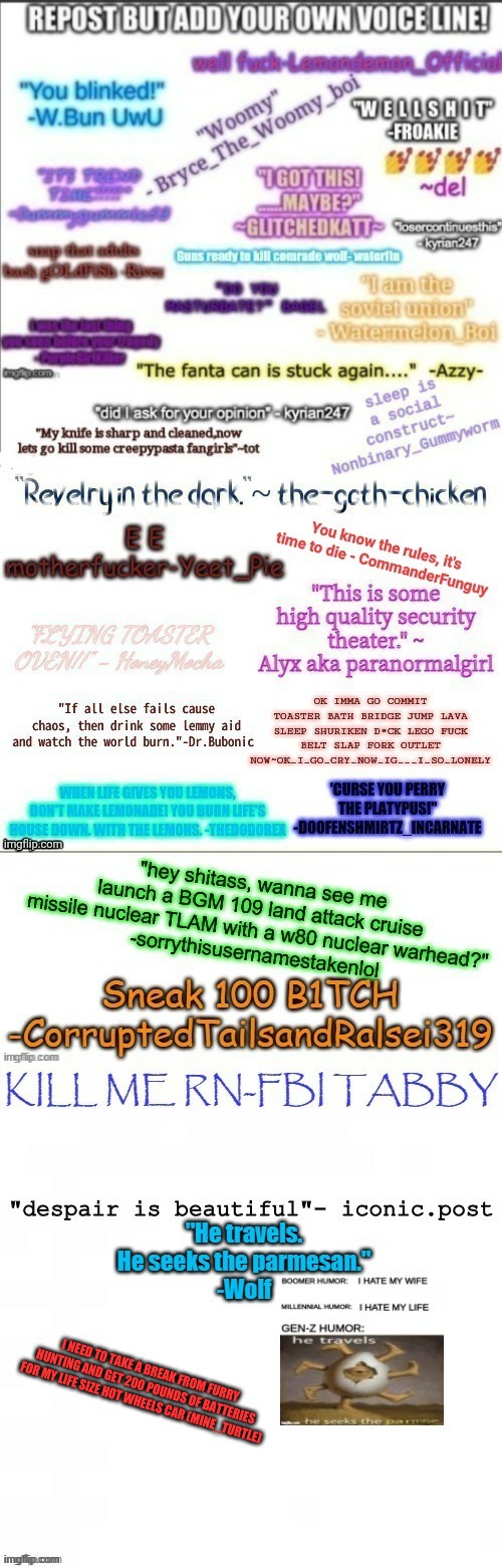 no | I NEED TO TAKE A BREAK FROM FURRY HUNTING AND GET 200 POUNDS OF BATTERIES FOR MY LIFE SIZE HOT WHEELS CAR (MINE_TURTLE) | image tagged in yes | made w/ Imgflip meme maker