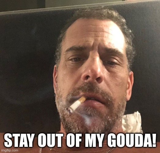 Hunter Biden | STAY OUT OF MY GOUDA! | image tagged in hunter biden | made w/ Imgflip meme maker