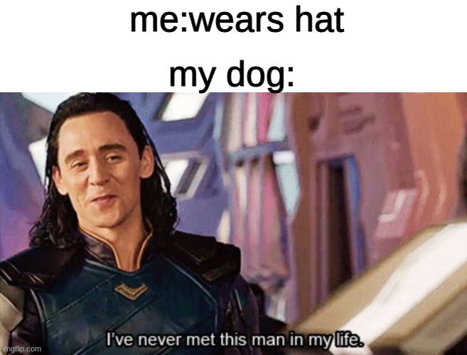 I Have Never Met This Man In My Life | me:wears hat; my dog: | image tagged in i have never met this man in my life | made w/ Imgflip meme maker