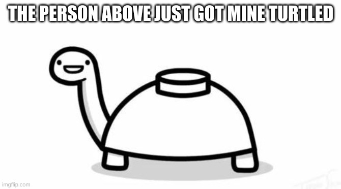yeah | THE PERSON ABOVE JUST GOT MINE TURTLED | image tagged in mine turtle | made w/ Imgflip meme maker