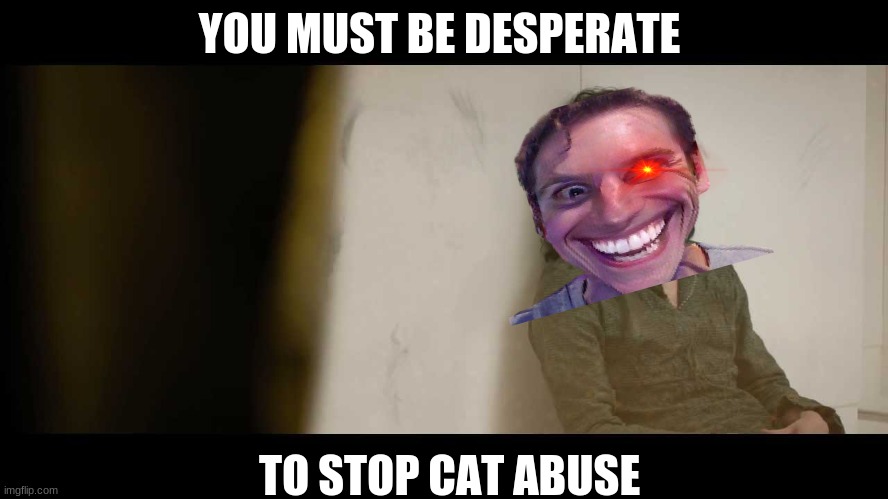 You must be desperate | YOU MUST BE DESPERATE TO STOP CAT ABUSE | image tagged in you must be desperate | made w/ Imgflip meme maker
