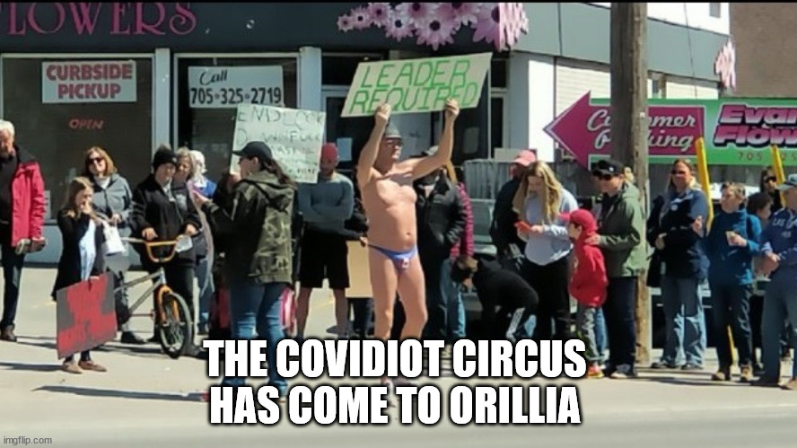 Covidiots | THE COVIDIOT CIRCUS 
HAS COME TO ORILLIA | image tagged in covid-19,covidiots,freedumb,orillia | made w/ Imgflip meme maker
