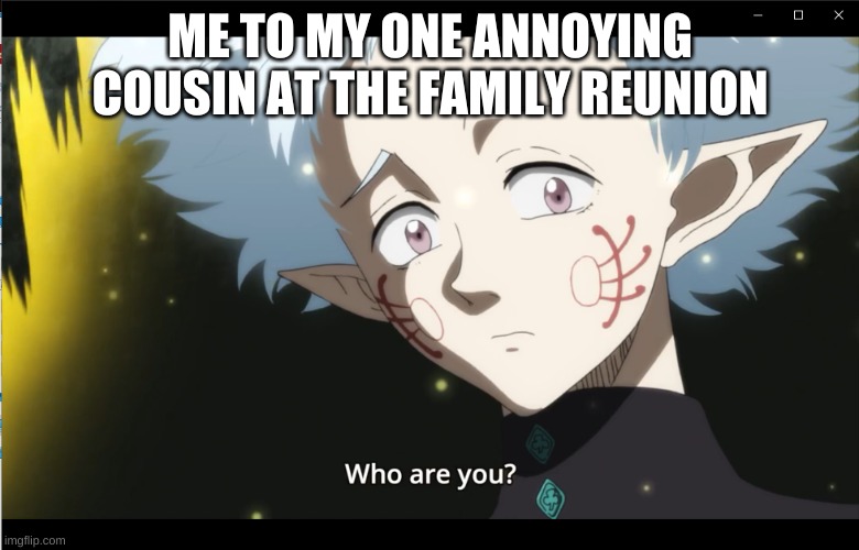 ITS A GOOD ANIME | ME TO MY ONE ANNOYING COUSIN AT THE FAMILY REUNION | image tagged in lira who are you to asta | made w/ Imgflip meme maker