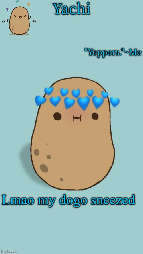 Yachi's potato temp | Lmao my dogo sneezed | image tagged in yachi's potato temp | made w/ Imgflip meme maker
