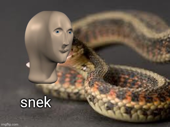 Warning Snake | snek | image tagged in warning snake | made w/ Imgflip meme maker