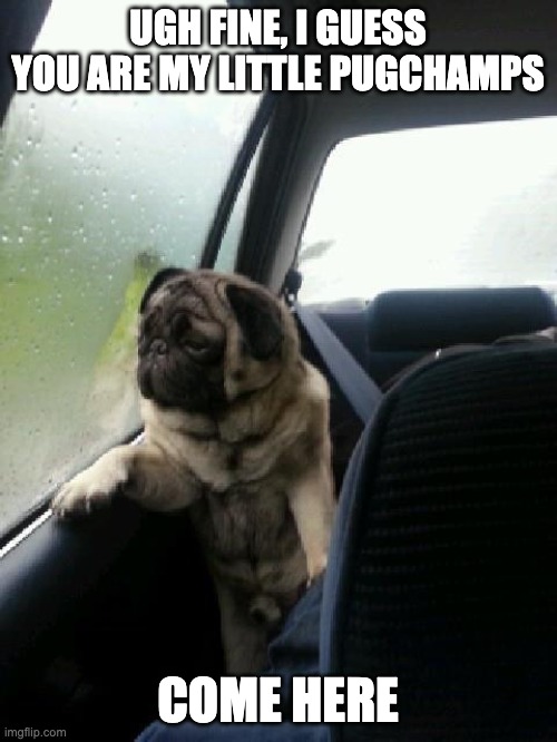 Introspective Pug | UGH FINE, I GUESS YOU ARE MY LITTLE PUGCHAMPS COME HERE | image tagged in introspective pug | made w/ Imgflip meme maker