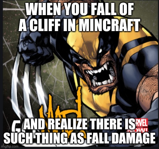 Mincraft | WHEN YOU FALL OF A CLIFF IN MINCRAFT; AND REALIZE THERE IS SUCH THING AS FALL DAMAGE | image tagged in memes | made w/ Imgflip meme maker