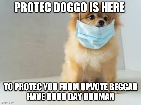 protec dog | PROTEC DOGGO IS HERE; TO PROTEC YOU FROM UPVOTE BEGGAR
HAVE GOOD DAY HOOMAN | image tagged in doggo | made w/ Imgflip meme maker