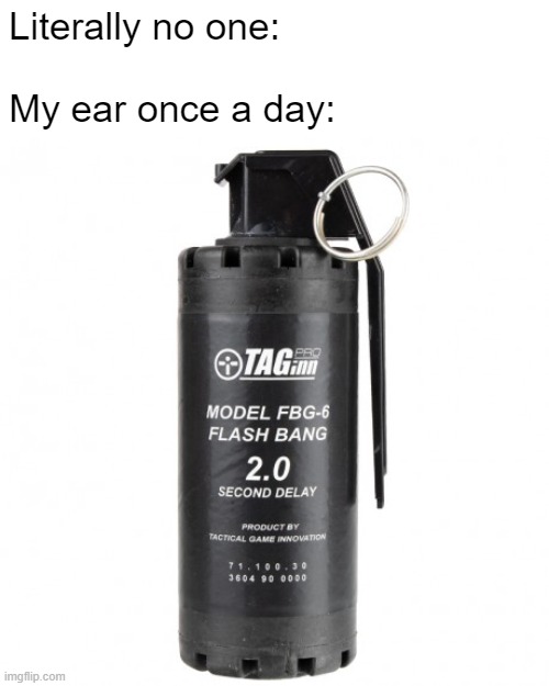 Flashbang | Literally no one:
 
My ear once a day: | image tagged in flashbang,ear,meme | made w/ Imgflip meme maker