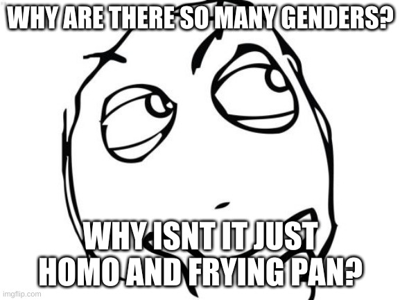 question 2 | WHY ARE THERE SO MANY GENDERS? WHY ISNT IT JUST HOMO AND FRYING PAN? | image tagged in memes,question rage face | made w/ Imgflip meme maker