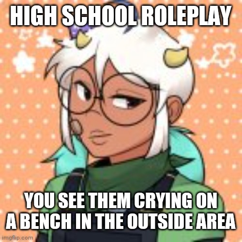 I apologize for the crappy quality | HIGH SCHOOL ROLEPLAY; YOU SEE THEM CRYING ON A BENCH IN THE OUTSIDE AREA | image tagged in sorry,my,guys,please,forgive,me | made w/ Imgflip meme maker