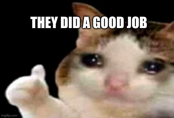 Sad cat thumbs up | THEY DID A GOOD JOB | image tagged in sad cat thumbs up | made w/ Imgflip meme maker