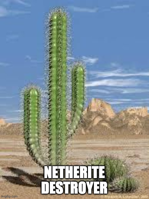 cactus | NETHERITE DESTROYER | image tagged in cactus | made w/ Imgflip meme maker
