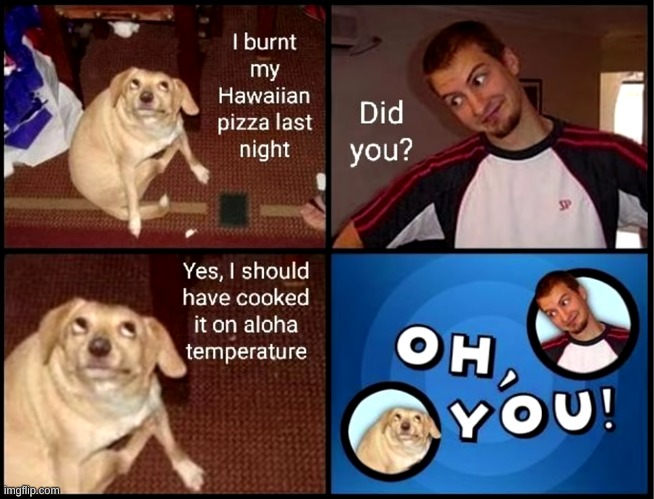 oh you | image tagged in oh you,memes,funny,not really a gif,dogs | made w/ Imgflip meme maker