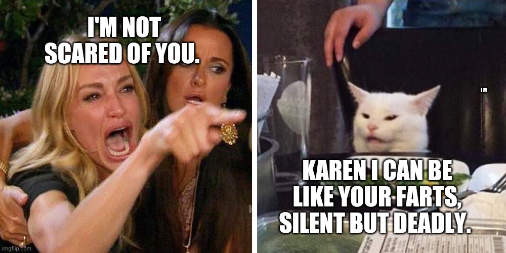 Smudge the cat | I'M NOT SCARED OF YOU. J M; KAREN I CAN BE LIKE YOUR FARTS, SILENT BUT DEADLY. | image tagged in smudge the cat | made w/ Imgflip meme maker