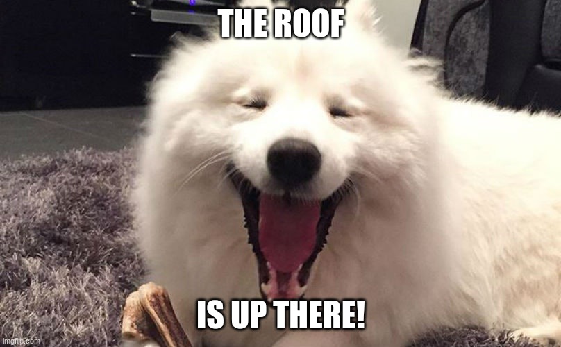 THE ROOF IS UP THERE! | made w/ Imgflip meme maker