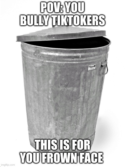 Trash Can | POV: YOU BULLY TIKTOKERS; THIS IS FOR YOU FROWN FACE | image tagged in trash can | made w/ Imgflip meme maker