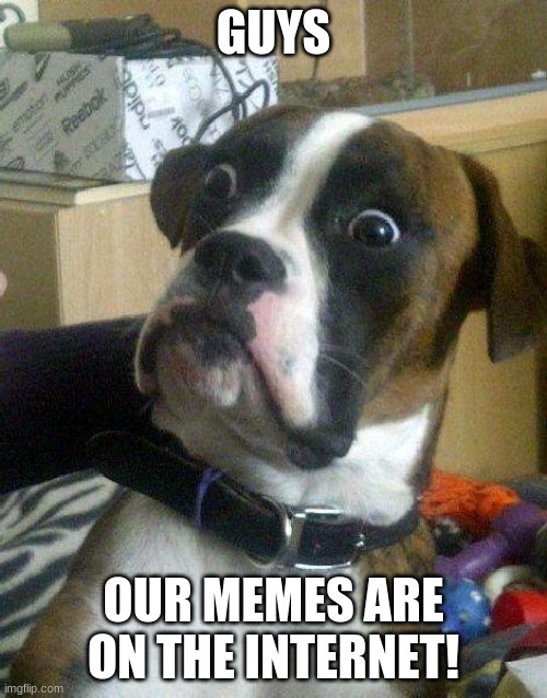 :D | GUYS; OUR MEMES ARE ON THE INTERNET! | image tagged in surprised dog | made w/ Imgflip meme maker