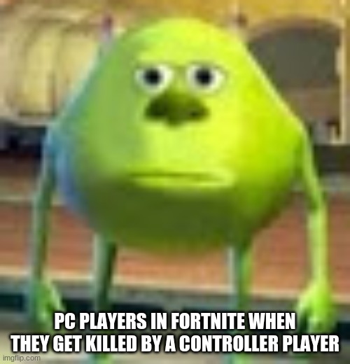 PC players be like | PC PLAYERS IN FORTNITE WHEN THEY GET KILLED BY A CONTROLLER PLAYER | image tagged in sully wazowski | made w/ Imgflip meme maker