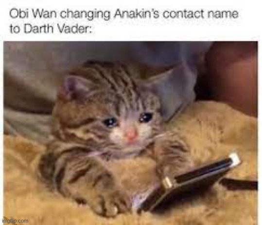 image tagged in star wars,sad cat,obi wan kenobi,darth vader,anakin skywalker | made w/ Imgflip meme maker