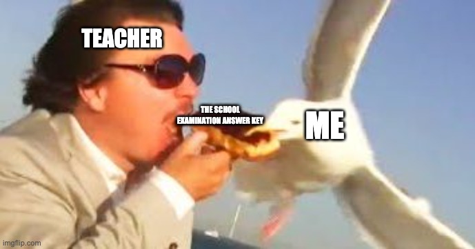 swiping seagull | TEACHER THE SCHOOL EXAMINATION ANSWER KEY ME | image tagged in swiping seagull | made w/ Imgflip meme maker