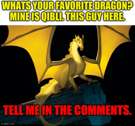 poll | WHATS YOUR FAVORITE DRAGON? MINE IS QIBLI. THIS GUY HERE. TELL ME IN THE COMMENTS. | image tagged in black background,wings of fire | made w/ Imgflip meme maker