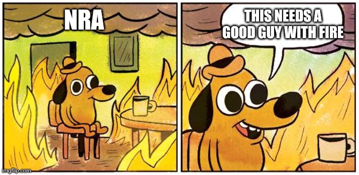 This is Fine (Blank) | THIS NEEDS A GOOD GUY WITH FIRE; NRA | image tagged in this is fine blank | made w/ Imgflip meme maker