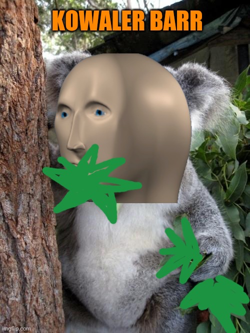 Meme man's zoo! | KOWALER BARR | image tagged in memes,surprised koala,meme man,bad,spelling | made w/ Imgflip meme maker