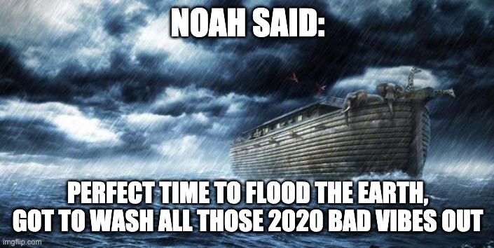 noahs ark | NOAH SAID: PERFECT TIME TO FLOOD THE EARTH, GOT TO WASH ALL THOSE 2020 BAD VIBES OUT | image tagged in noahs ark | made w/ Imgflip meme maker