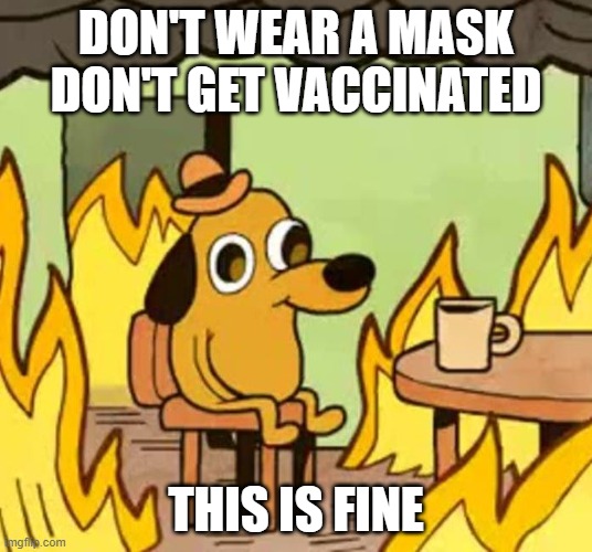 Its fine | DON'T WEAR A MASK DON'T GET VACCINATED; THIS IS FINE | image tagged in its fine | made w/ Imgflip meme maker