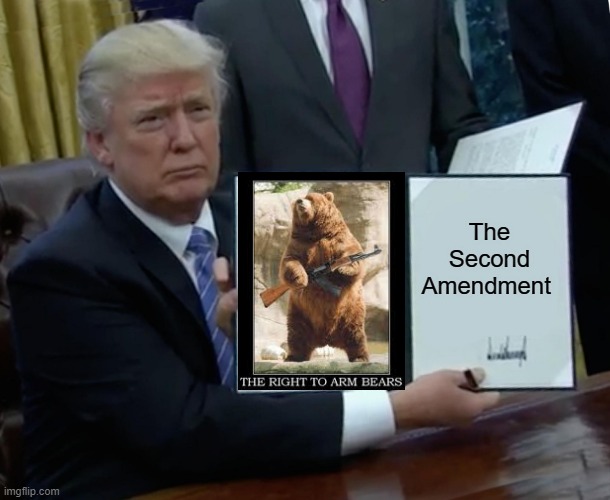 Trump Bill Signing | The Second Amendment | image tagged in memes,trump bill signing | made w/ Imgflip meme maker