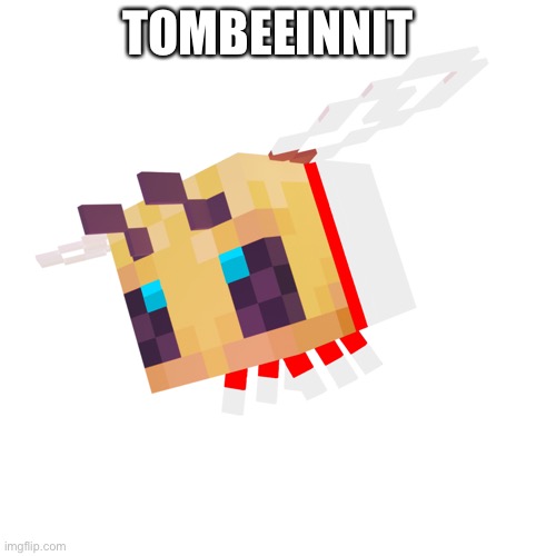 TOMBEEINNIT | image tagged in dream,youtube,minecraft,gaming | made w/ Imgflip meme maker