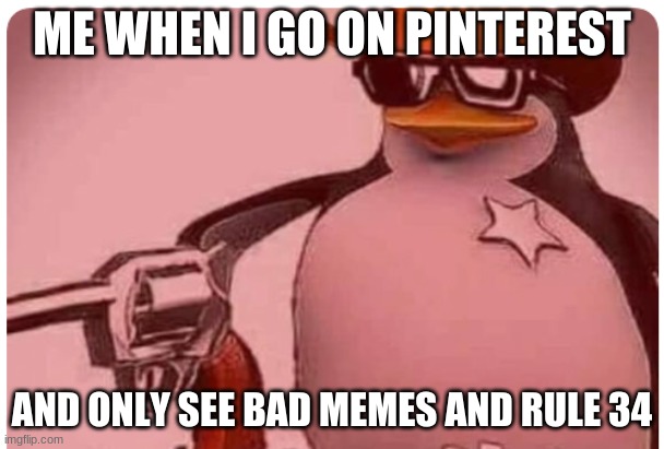 delete this | ME WHEN I GO ON PINTEREST; AND ONLY SEE BAD MEMES AND RULE 34 | image tagged in delete this | made w/ Imgflip meme maker