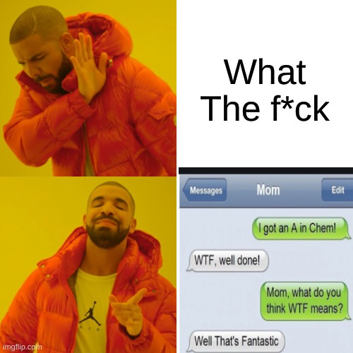 Random meme | What The f*ck | image tagged in funny | made w/ Imgflip meme maker