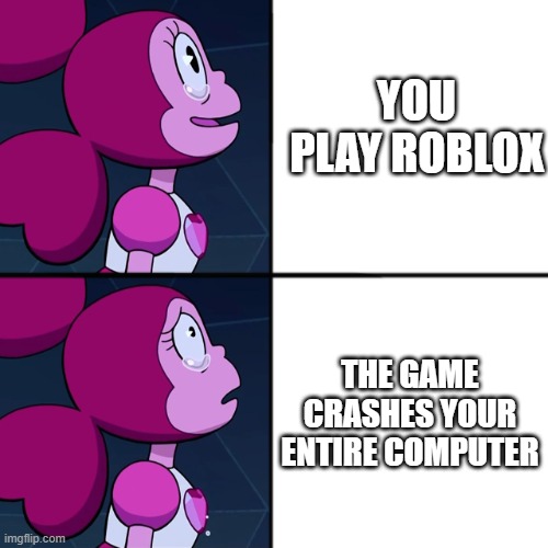 spinel | YOU PLAY ROBLOX; THE GAME CRASHES YOUR ENTIRE COMPUTER | image tagged in spinel | made w/ Imgflip meme maker