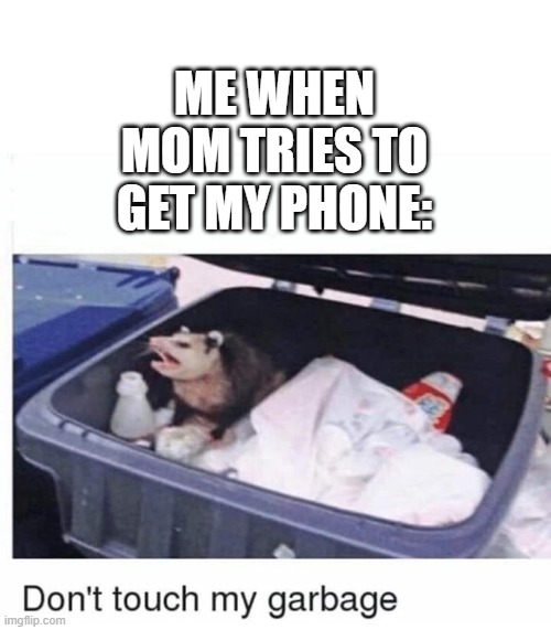 Don't touch my garbage | ME WHEN MOM TRIES TO GET MY PHONE: | image tagged in don't touch my garbage | made w/ Imgflip meme maker