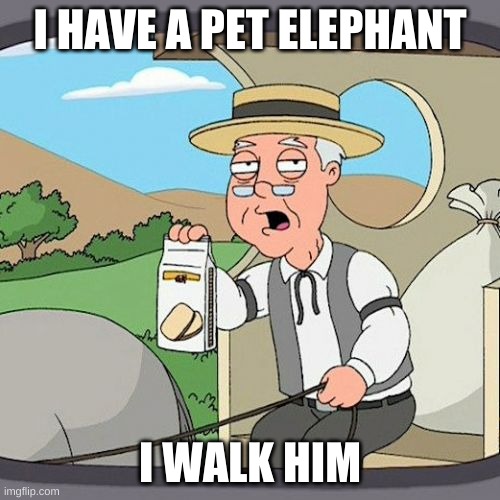 Pepperidge Farm Remembers Meme | I HAVE A PET ELEPHANT; I WALK HIM | image tagged in memes,pepperidge farm remembers | made w/ Imgflip meme maker