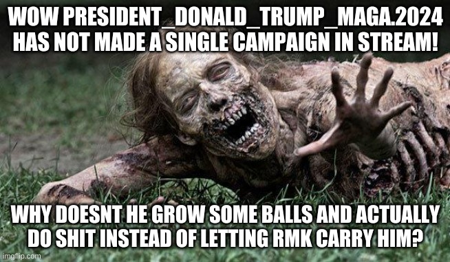 im spittin facts doe | WOW PRESIDENT_DONALD_TRUMP_MAGA.2024 HAS NOT MADE A SINGLE CAMPAIGN IN STREAM! WHY DOESNT HE GROW SOME BALLS AND ACTUALLY DO SHIT INSTEAD OF LETTING RMK CARRY HIM? | image tagged in walking dead zombie | made w/ Imgflip meme maker