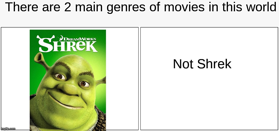 Meme | There are 2 main genres of movies in this world; Not Shrek | image tagged in memes,blank comic panel 2x1 | made w/ Imgflip meme maker