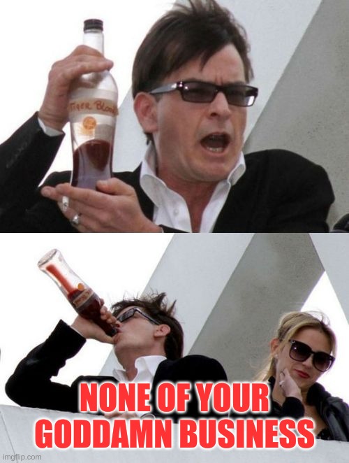 Charlie Sheen none of your business | NONE OF YOUR GODDAMN BUSINESS | image tagged in charlie sheen none of your business | made w/ Imgflip meme maker
