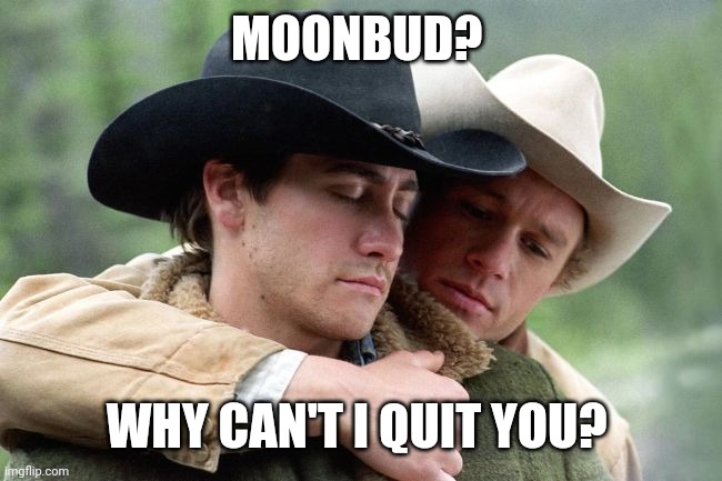 TSLA Why can't I quit you? | MOONBUD? WHY CAN'T I QUIT YOU? | image tagged in tsla why can't i quit you | made w/ Imgflip meme maker