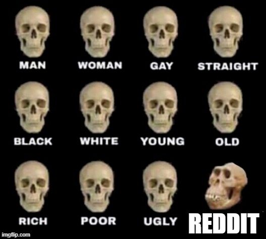 ... | REDDIT | image tagged in idiot skull | made w/ Imgflip meme maker